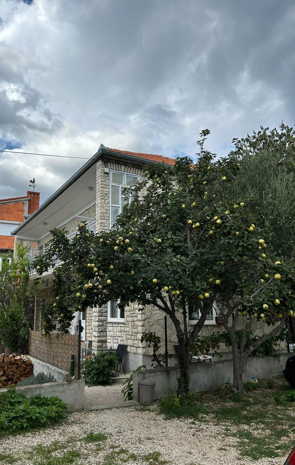 Villa Jadran Zadar Free Parking Sea View Экстерьер фото